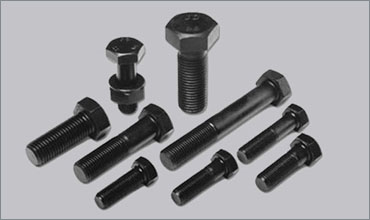 Carbon Steel Fasteners Manufacturer Exporter